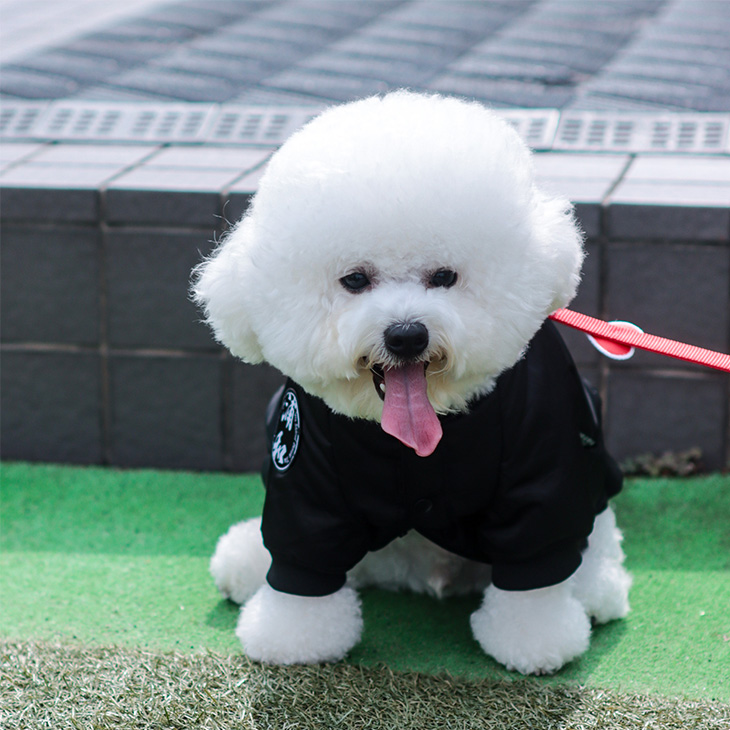 浦和レッズ　MA-1　ジャケット　リバーシブル　2XL 浦和レッズ MA-1 ジャケット リバーシブル 2XL 浦和レッズ MA-1