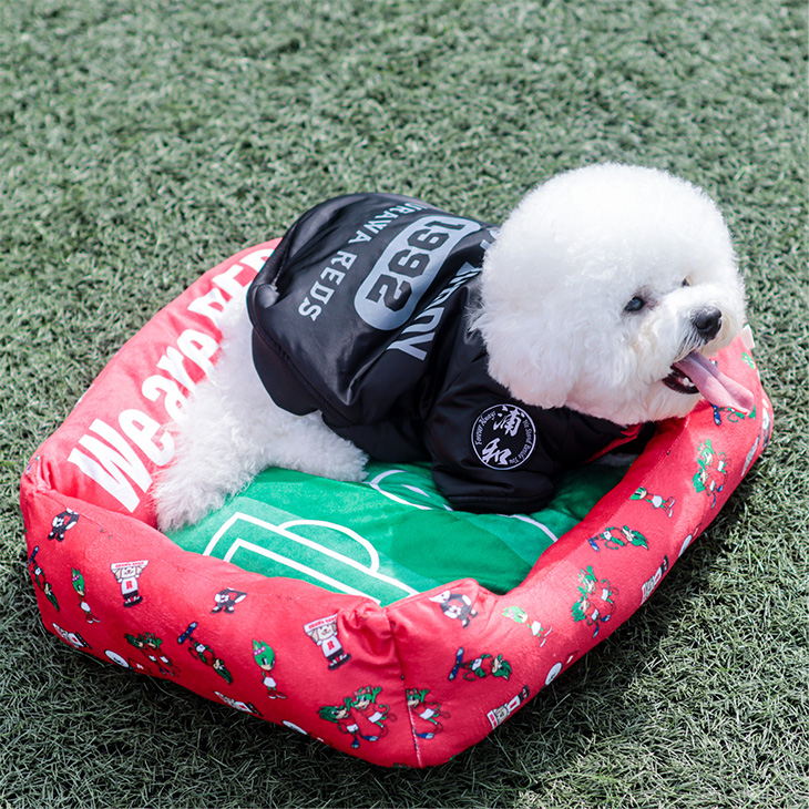 智辯学園練習着 智辯学園練習着 XL】智辯ユニフォーム風スウェット 智辯和歌山