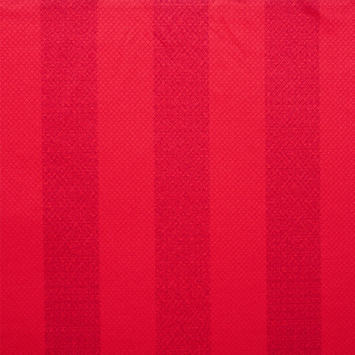 明治安田J1百年構想リーグ レプリカユニフォーム/1st【ナンバー