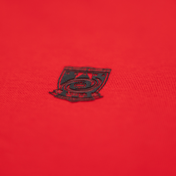 REDS 365 STANDARD Tシャツ/赤 | 浦和レッズオンラインショップ
