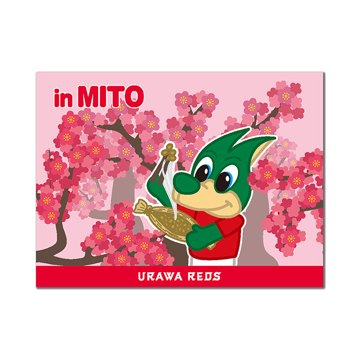 GO!レディア ステッカー（水戸ホーリーホック）