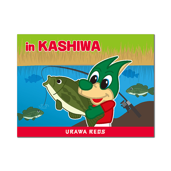 GO!レディア ステッカー（柏レイソル）