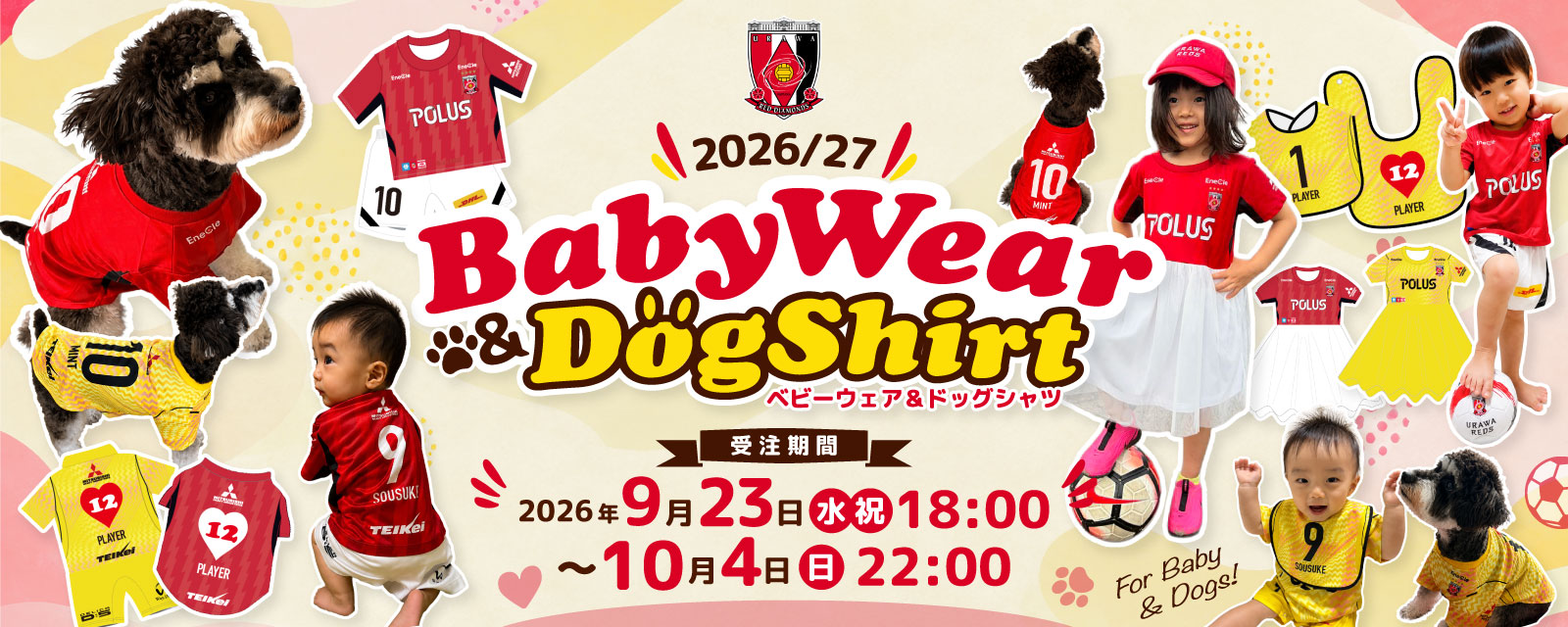 26-27ベビードッグ